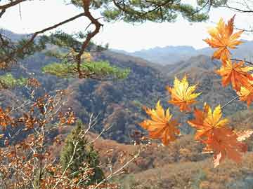 鄂州企业团队培训行情，鄂州企业拓展培训公司